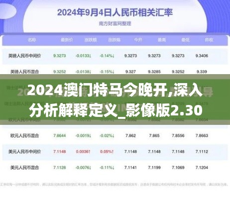 2024澳门特马今晚开,深入分析解释定义_影像版2.300