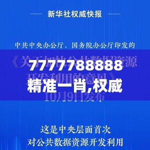 7777788888精准一肖,权威诠释推进方式_C版6.999