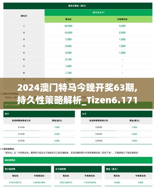 2024澳门特马今晚开奖63期,持久性策略解析_Tizen6.171