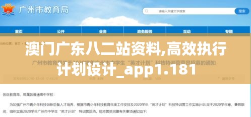 澳门广东八二站资料,高效执行计划设计_app1.181