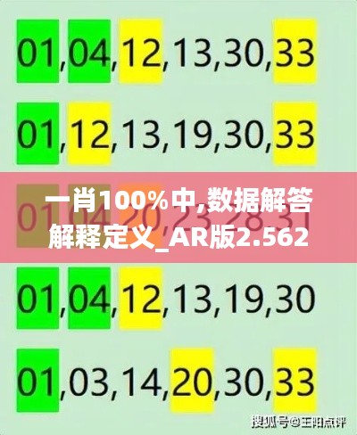 一肖100%中,数据解答解释定义_AR版2.562