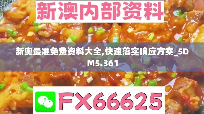 新奥最准免费资料大全,快速落实响应方案_5DM5.361