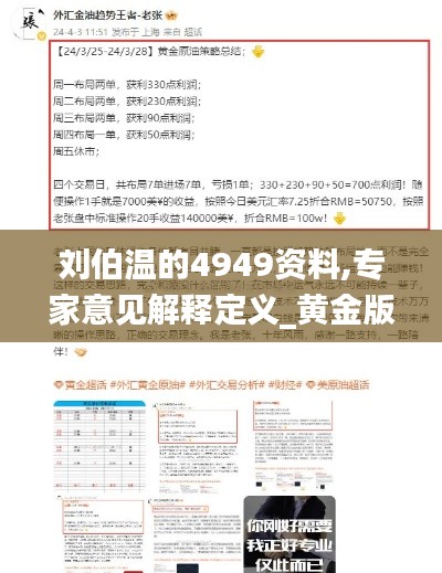 刘伯温的4949资料,专家意见解释定义_黄金版14.124