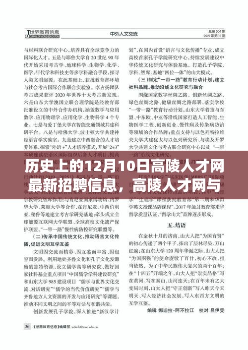 高陵人才网最新招聘信息揭秘，温馨求职之旅与友情相伴的十二月十日故事