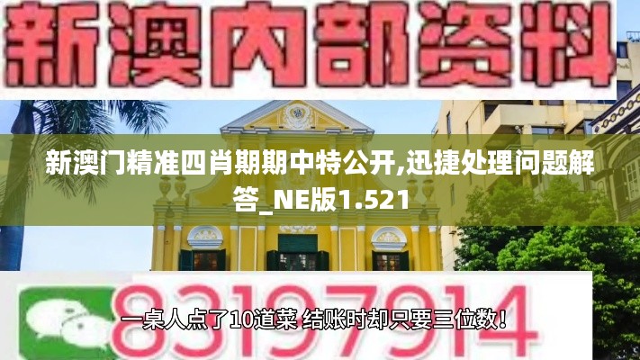 新澳门精准四肖期期中特公开,迅捷处理问题解答_NE版1.521