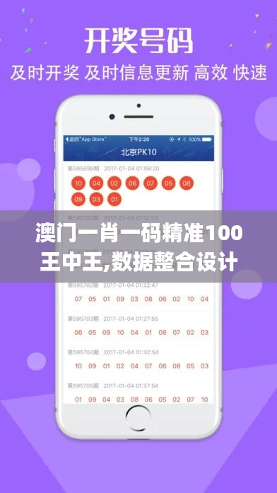 澳门一肖一码精准100王中王,数据整合设计方案_C版18.947