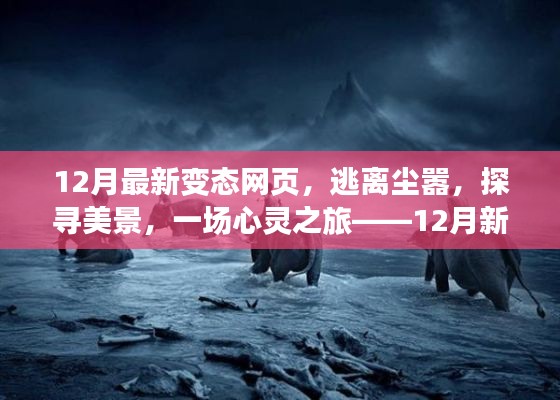 12月新变态网页，心灵之旅探寻自然美景，逃离尘嚣领略自然魅力