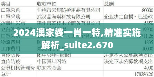 2024澳家婆一肖一特,精准实施解析_suite2.670