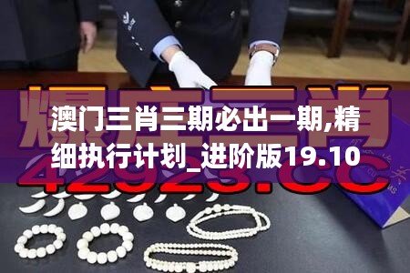 澳门三肖三期必出一期,精细执行计划_进阶版19.103