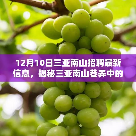 揭秘三亚南山招聘最新信息，巷弄隐藏瑰宝与特色小店新篇章