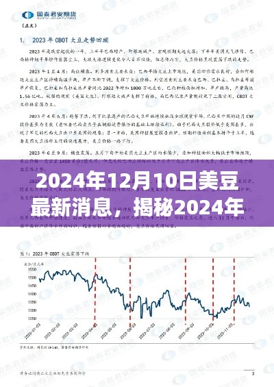 揭秘，2024年12月10日美豆市场最新动态与消息速递