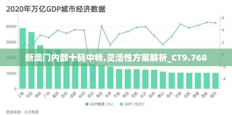 新澳门内部十码中特,灵活性方案解析_CT9.768