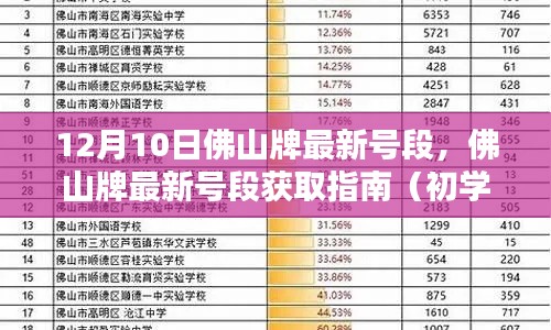 佛山牌最新号段获取指南，初学者到进阶用户全攻略（12月10日更新）