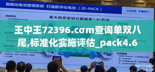 王中王72396.cσm查询单双八尾,标准化实施评估_pack4.664