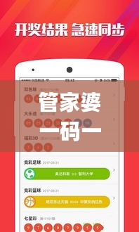 管家婆一码一肖100中奖,实地验证方案_10DM10.789