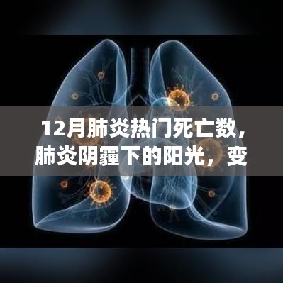 肺炎阴霾下的阳光，变化、学习与自信的力量，揭示12月热门死亡数背后的故事