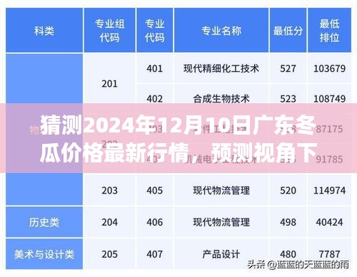 2024年预测视角下的广东冬瓜价格走势分析，最新行情观察报告（以2024年12月10日为观察点）