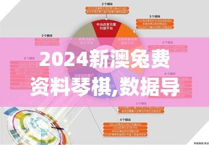 2024新澳兔费资料琴棋,数据导向实施策略_DX版17.410