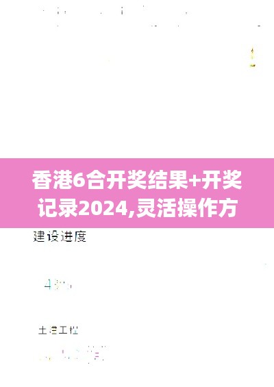 香港6合开奖结果+开奖记录2024,灵活操作方案设计_DX版12.511