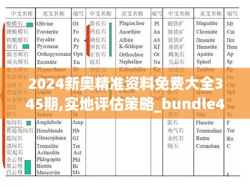 2024新奥精准资料免费大全345期,实地评估策略_bundle4.902