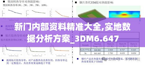 新门内部资料精准大全,实地数据分析方案_3DM6.647