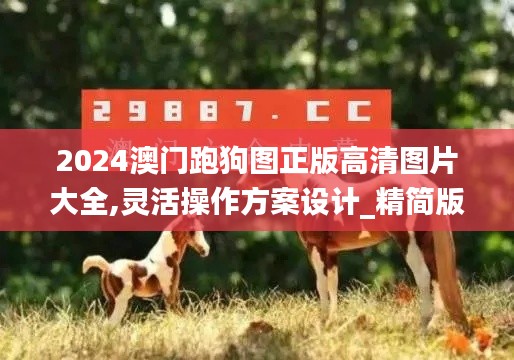 2024澳门跑狗图正版高清图片大全,灵活操作方案设计_精简版10.105