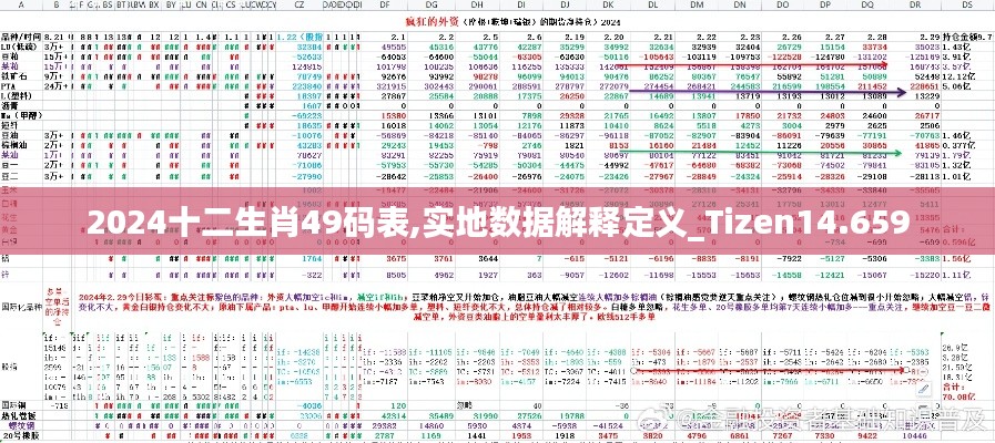 2024十二生肖49码表,实地数据解释定义_Tizen14.659