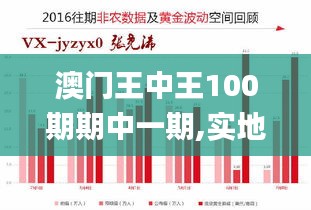 澳门王中王100期期中一期,实地分析数据应用_DP4.203