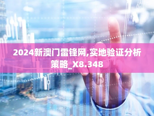 2024新澳门雷锋网,实地验证分析策略_X8.348