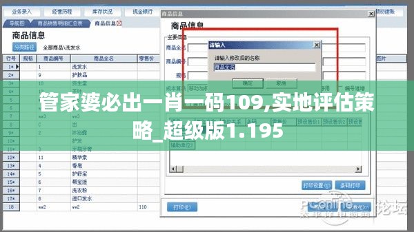 管家婆必出一肖一码109,实地评估策略_超级版1.195