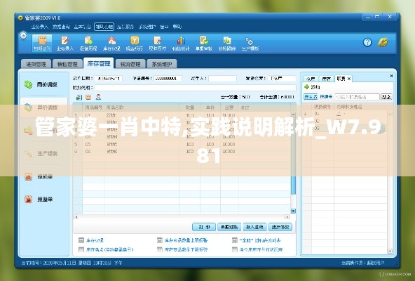 管家婆一肖中特,实践说明解析_W7.981