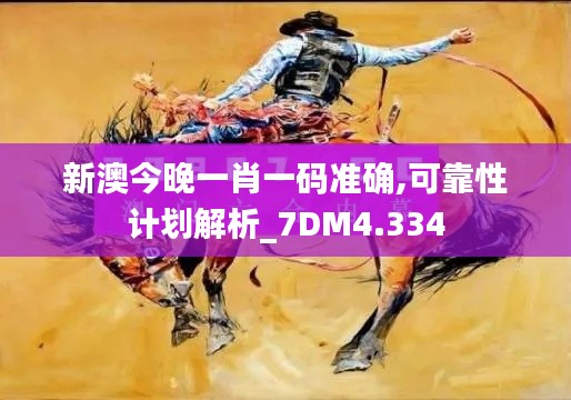 新澳今晚一肖一码准确,可靠性计划解析_7DM4.334