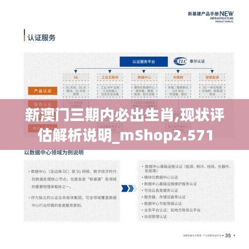 新澳门三期内必出生肖,现状评估解析说明_mShop2.571