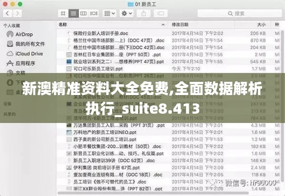 新澳精准资料大全免费,全面数据解析执行_suite8.413