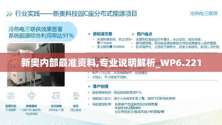 新奥内部最准资料,专业说明解析_WP6.221