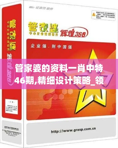 管家婆的资料一肖中特46期,精细设计策略_领航款9.410