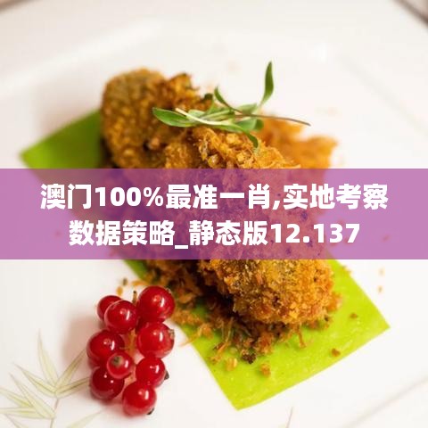 澳门100%最准一肖,实地考察数据策略_静态版12.137