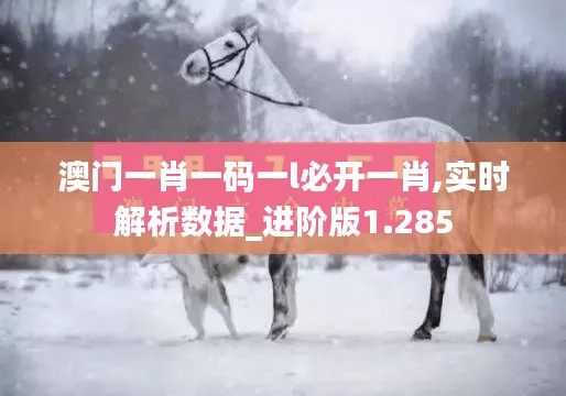 澳门一肖一码一l必开一肖,实时解析数据_进阶版1.285