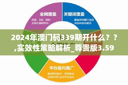 2024年澳门码339期开什么？？,实效性策略解析_尊贵版3.593