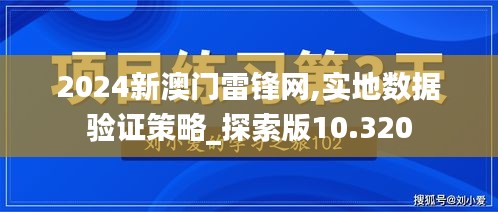 2024新澳门雷锋网,实地数据验证策略_探索版10.320