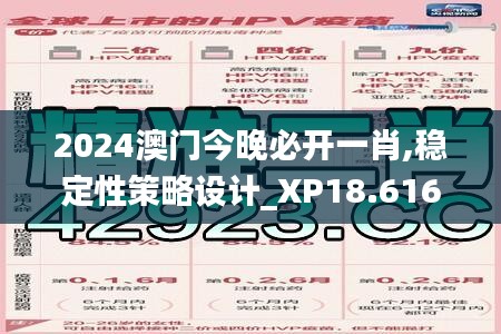 2024澳门今晚必开一肖,稳定性策略设计_XP18.616