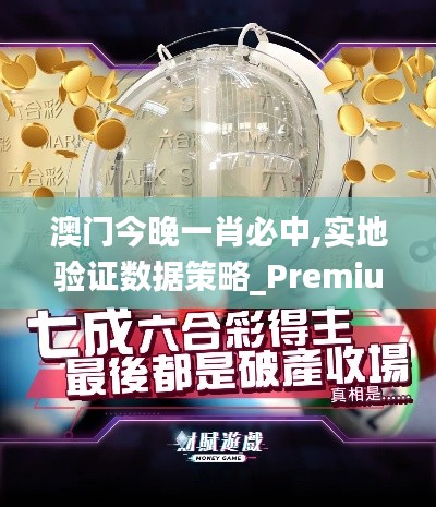 澳门今晚一肖必中,实地验证数据策略_Premium4.803