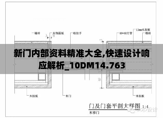 新门内部资料精准大全,快速设计响应解析_10DM14.763