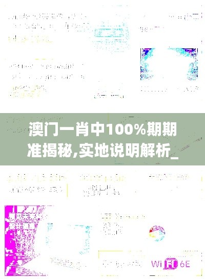 澳门一肖中100%期期准揭秘,实地说明解析_X版3.165