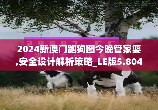 2024新澳门跑狗图今晚管家婆,安全设计解析策略_LE版5.804