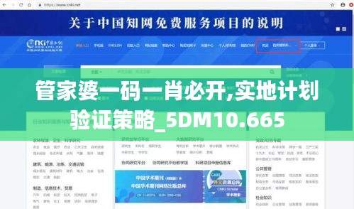 管家婆一码一肖必开,实地计划验证策略_5DM10.665