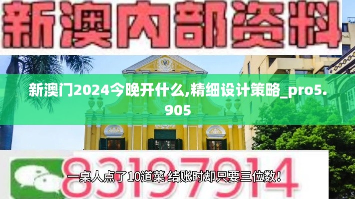 新澳门2024今晚开什么,精细设计策略_pro5.905