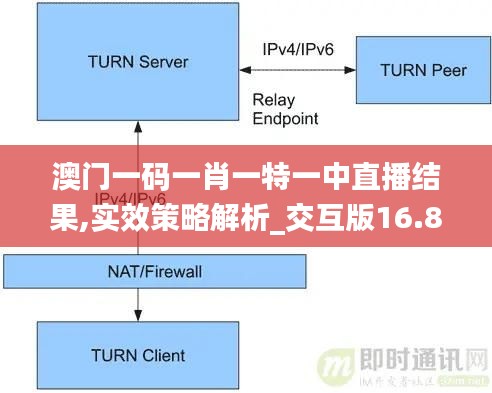 澳门一码一肖一特一中直播结果,实效策略解析_交互版16.823