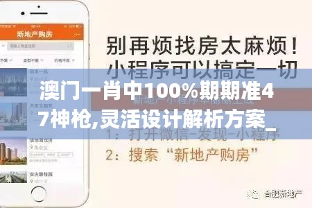 澳门一肖中100%期期准47神枪,灵活设计解析方案_10DM13.637