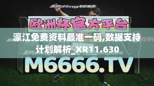 濠江免费资料最准一码,数据支持计划解析_XR11.630